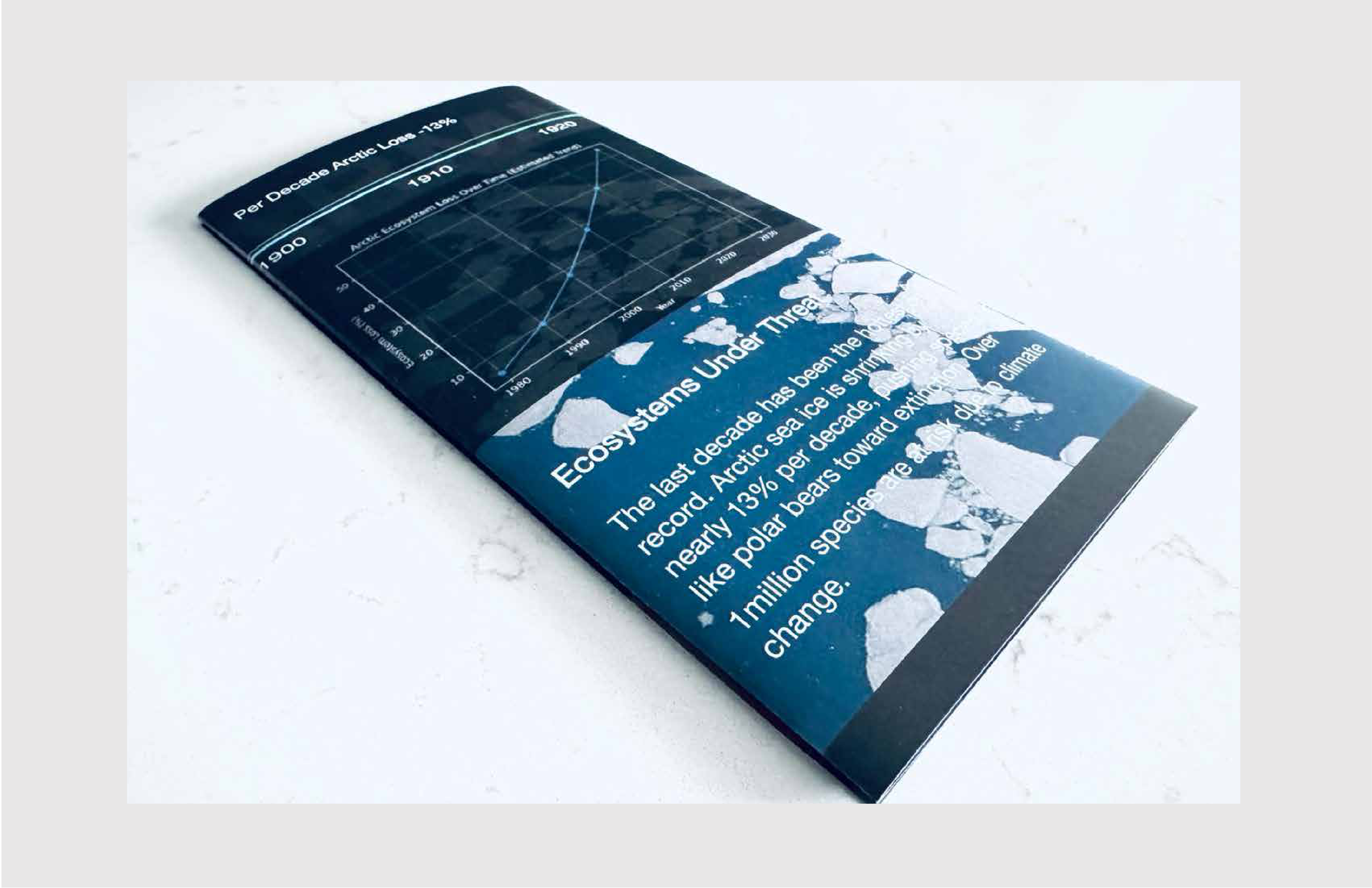 Folded printed brochure mockup of the Ecosystems Under Threat panel